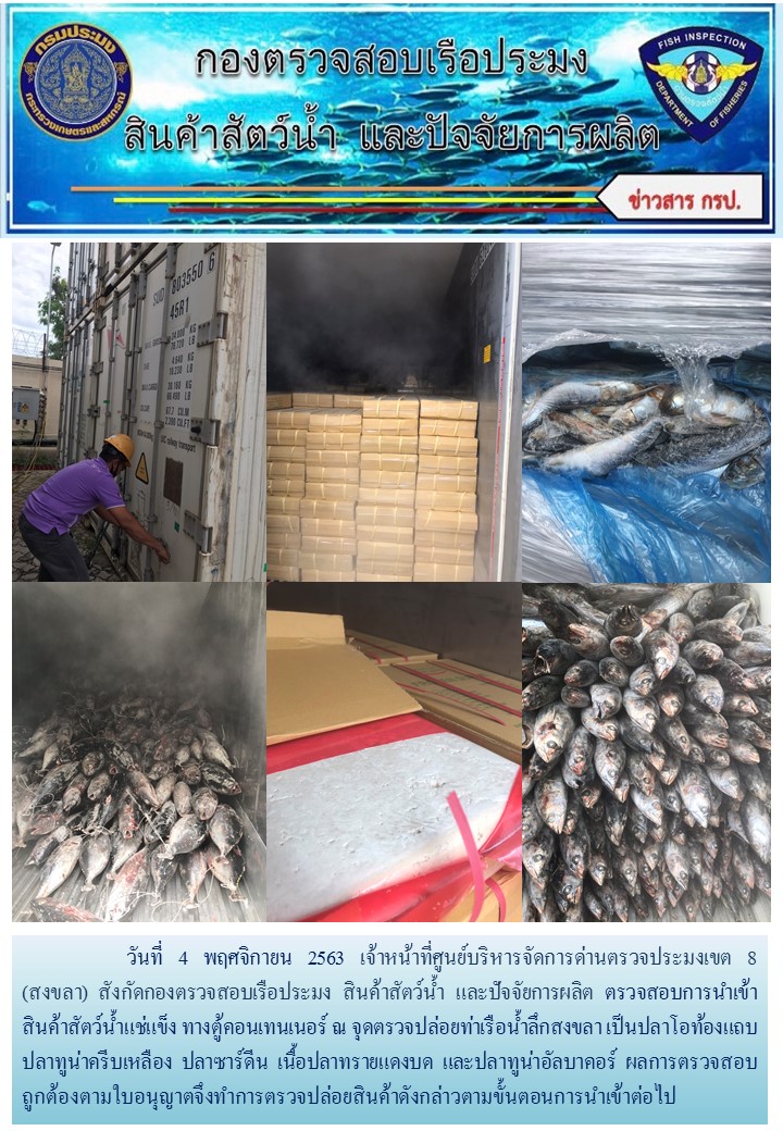 เจ้าหน้าที่ศูนย์บริหารจัดการด่านตรวจประมงเขต 8 (สงขลา) สังกัดกองตรวจสอบเรือประมง สินค้าสัตว์น้ำ และปัจจัยการผลิต  ตรวจสอบการนำเข้าสินค้าสัตว์น้ำประเภทตู้คอนเทนเนอร์ ณ จุดตรวจปล่อยท่าเรือน้ำลึกสงขลา..คลิก