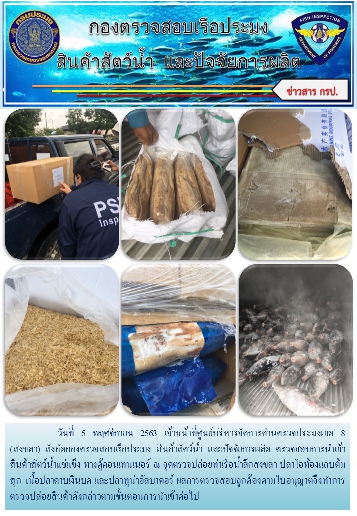 เจ้าหน้าที่ศูนย์บริหารจัดการด่านตรวจประมงเขต 8 (สงขลา) สังกัดกองตรวจสอบเรือประมง สินค้าสัตว์น้ำ และปัจจัยการผลิต  ตรวจสอบการนำเข้าสินค้าสัตว์น้ำประเภทตู้คอนเทนเนอร์ ณ จุดตรวจปล่อยท่าเรือน้ำลึกสงขลา..คลิก