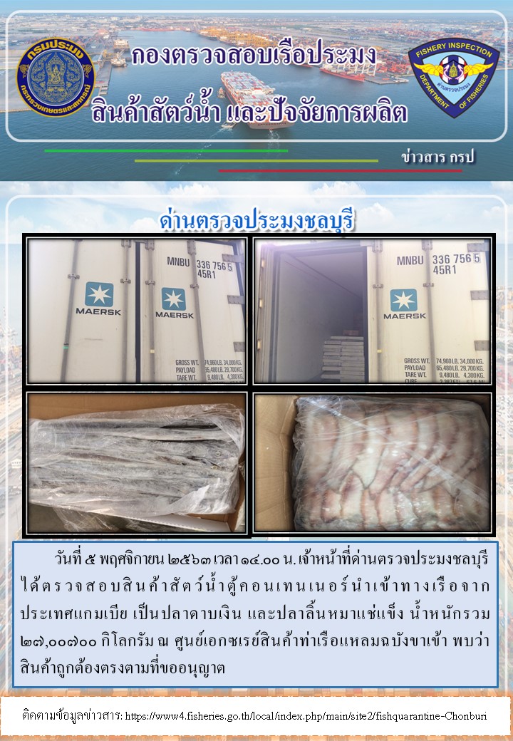 การปฏิบัติงานตรวจสอบสินค้าสัตว์น้ำตู้คอนเทรนเนอร์นำเข้าทางเรือประจำวันที่ 5 พฤศจิกายน 2563..คลิก