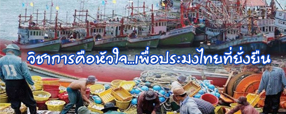 เข้าสู่เว็บไซต์กองวิจัยและพัฒนาประมงทะเล 