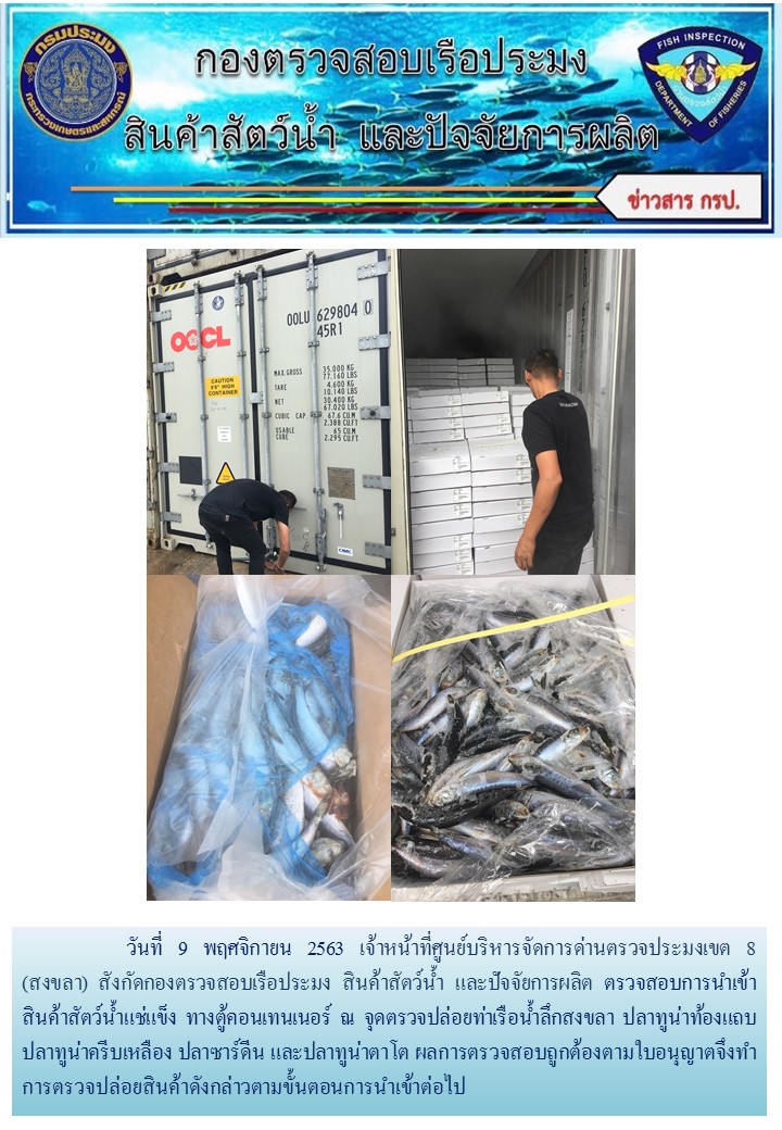 เจ้าหน้าที่ศูนย์บริหารจัดการด่านตรวจประมงเขต 8 (สงขลา) สังกัดกองตรวจสอบเรือประมง สินค้าสัตว์น้ำ และปัจจัยการผลิต ตรวจสอบการนำเข้าสินค้าสัตว์น้ำประเภทตู้คอนเทนเนอร์ ณ จุดตรวจปล่อยท่าเรือน้ำลึกสงขลา..คลิก