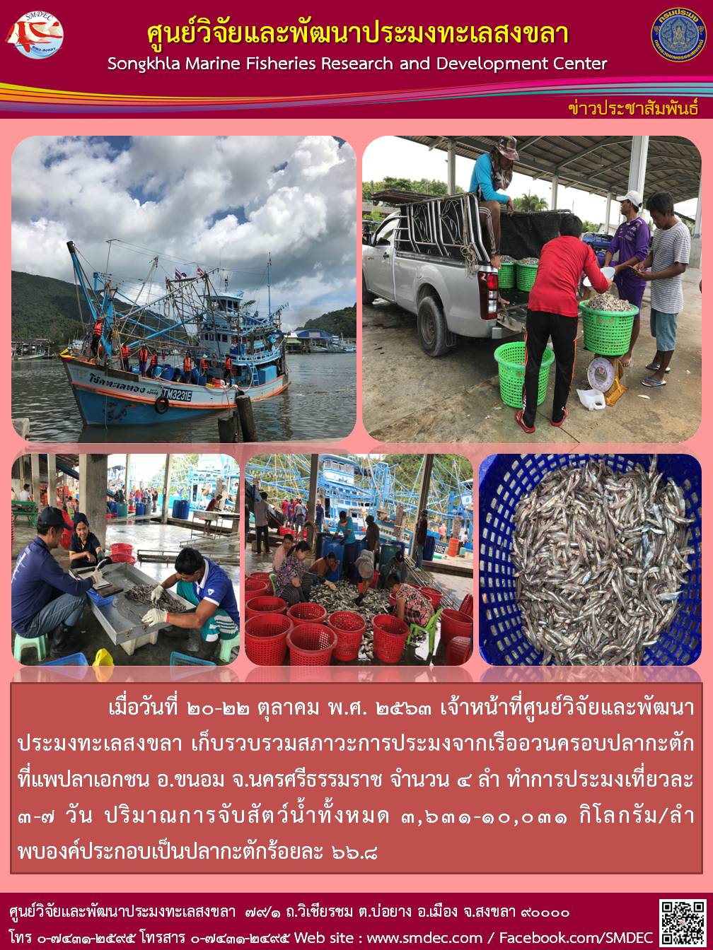 เมื่อวันที่ 20-22 ตุลาคม พ.ศ. 2563 เจ้าหน้าที่ศูนย์วิจัยและพัฒนาประมงทะเลสงขลา  เก็บรวบรวมสภาวะการประมงจากเรืออวนครอบปลากะตัก ที่แพปลาเอกชน อ.ขนอม จ.นครศรีธรรมราช จำนวน 4 ลำ..คลิก
