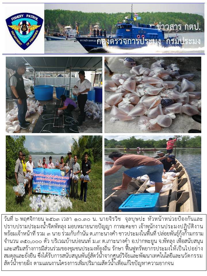 กิจกรรมจัดระเบียบการทำการประ