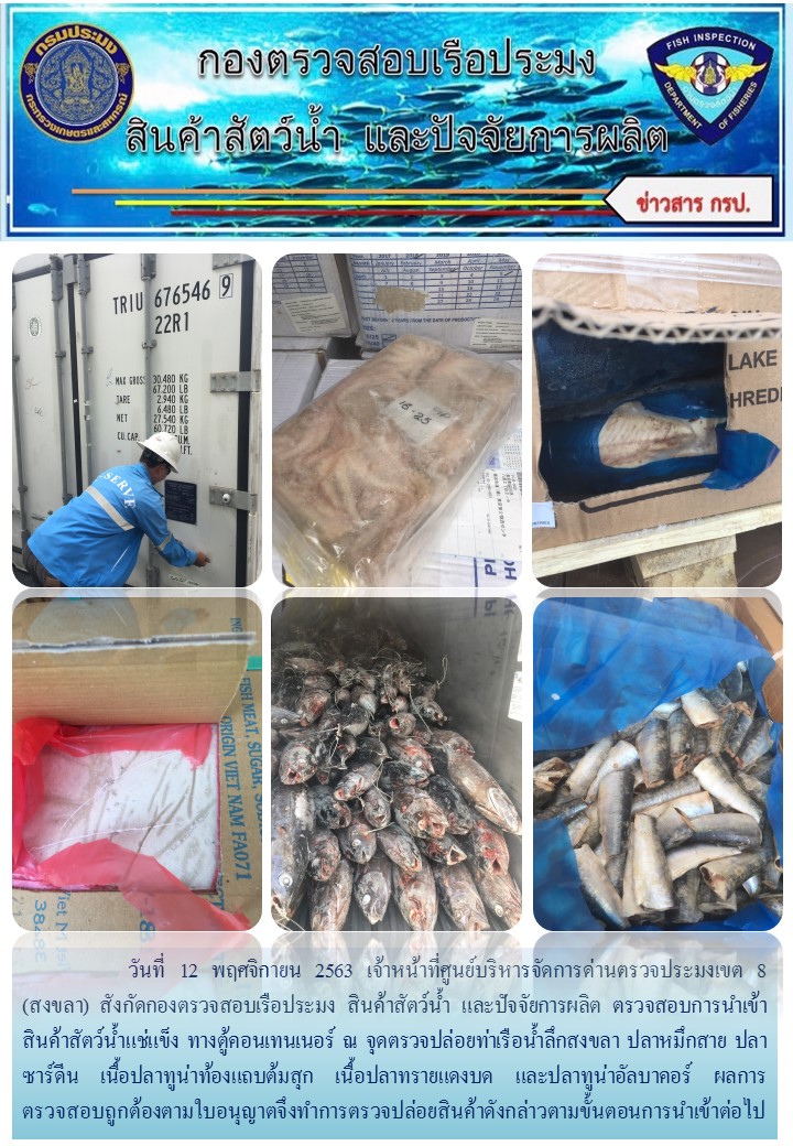 เจ้าหน้าที่ศูนย์บริหารจัดการด่านตรวจประมงเขต 8 (สงขลา) สังกัดกองตรวจสอบเรือประมง สินค้าสัตว์น้ำ และปัจจัยการผลิต  ตรวจสอบการนำเข้าสินค้าสัตว์น้ำประเภทตู้คอนเทนเนอร์ ณ จุดตรวจปล่อยท่าเรือน้ำลึกสงขลา..คลิก