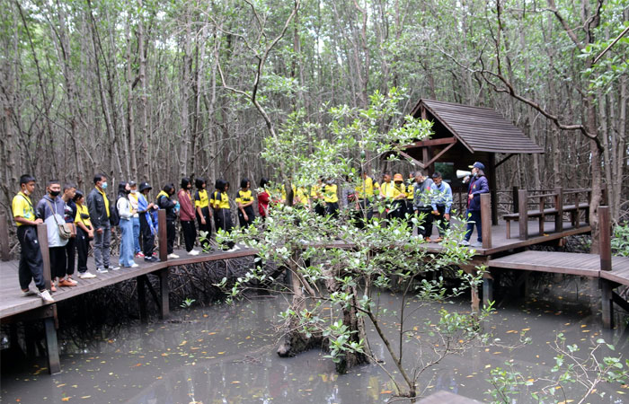 โรงเรียนบ้านสะแนน(สามัคคีวิทยา) อำเภอเมือง จังหวัดยโสธร