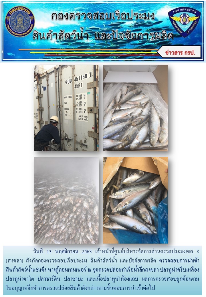 เจ้าหน้าที่ศูนย์บริหารจัดการด่านตรวจประมงเขต 8 (สงขลา) สังกัดกองตรวจสอบเรือประมง สินค้าสัตว์น้ำ และปัจจัยการผลิต  ตรวจสอบการนำเข้าสินค้าสัตว์น้ำประเภทตู้คอนเทนเนอร์ ณ จุดตรวจปล่อยท่าเรือน้ำลึกสงขลา..คลิก