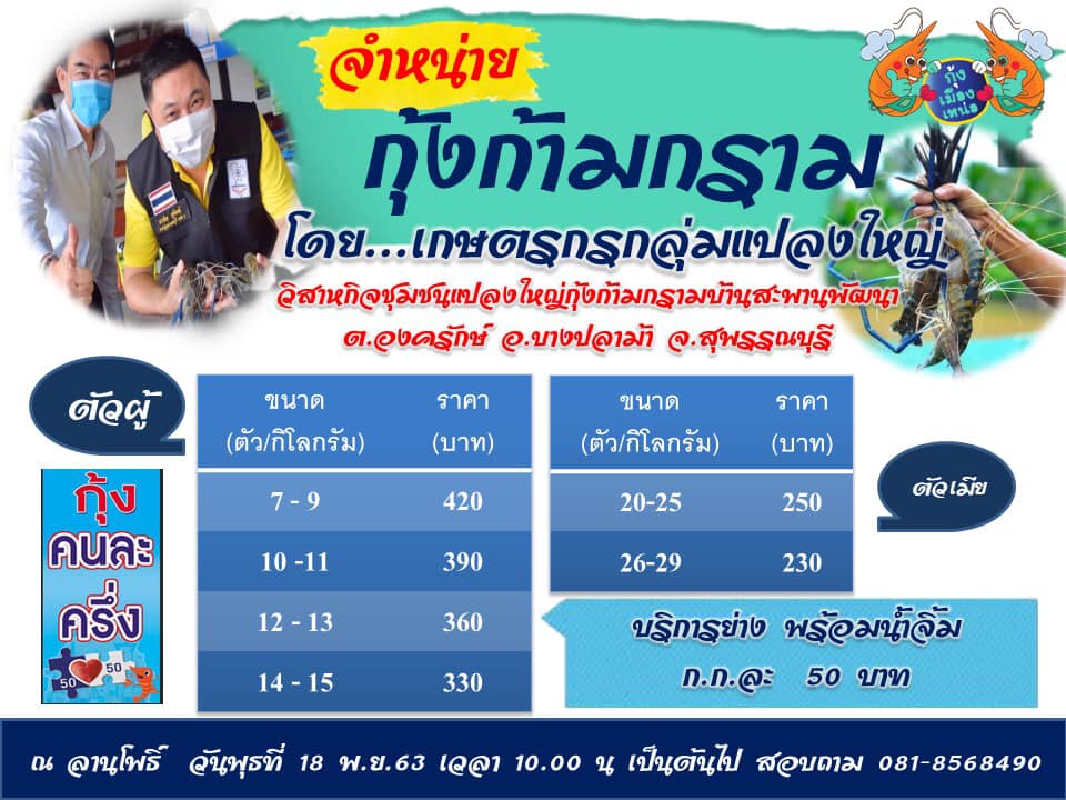 กินกุ้งก้ามกรามจากวิสาหกิจชุมชนแปลงใหญ่กุ้งก้ามกราม ..คลิก