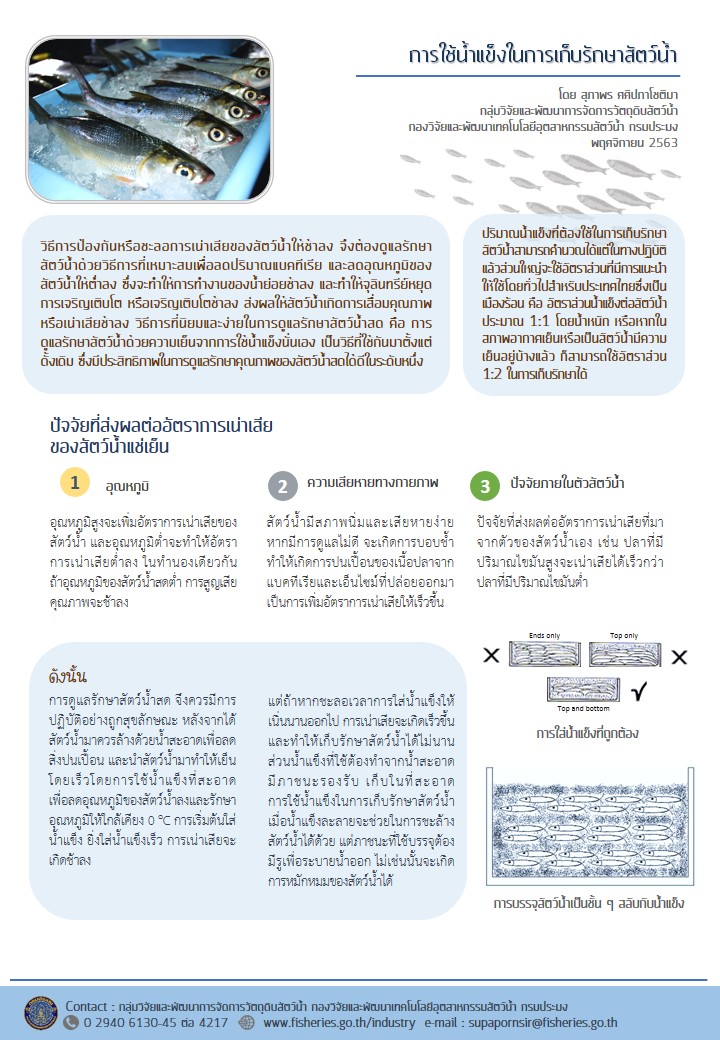 การใช้น้ำแข็งในการเก็บรักษาสัตว์น้ำ