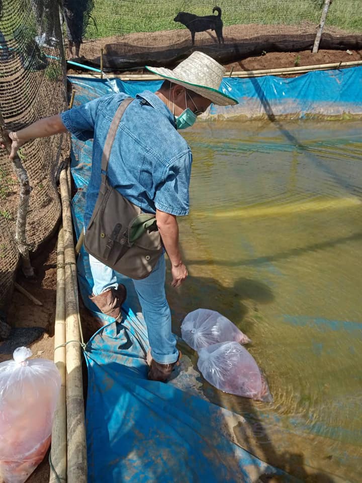 ร่วมกิจกรรมมอบพันธุ์ปลาเพื่อเลี้ยงไว้เป็นอาหารแก่โรงเรียนเพียงหลวง ๓ สาขาบ้านโบอ่อง ต.ปิล๊อก อ.ทองผาภูมิ จ.กาญจนบุรี