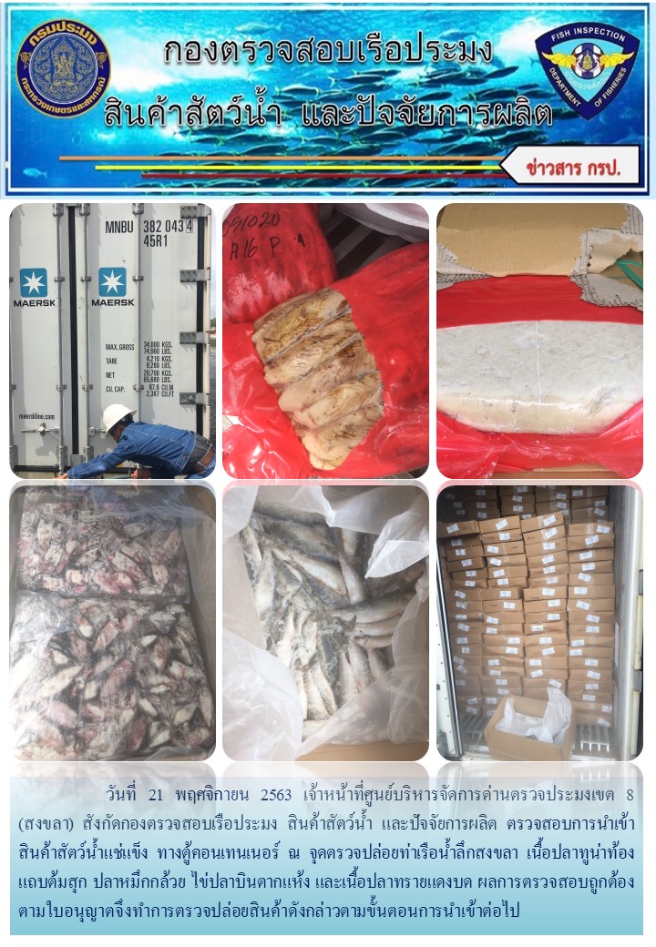 เจ้าหน้าที่ศูนย์บริหารจัดการด่านตรวจประมงเขต 8 (สงขลา) สังกัดกองตรวจสอบเรือประมง สินค้าสัตว์น้ำ และปัจจัยการผลิต  ตรวจสอบการนำเข้าสินค้าสัตว์น้ำประเภทตู้คอนเทนเนอร์ ณ จุดตรวจปล่อยท่าเรือน้ำลึกสงขลา..คลิก