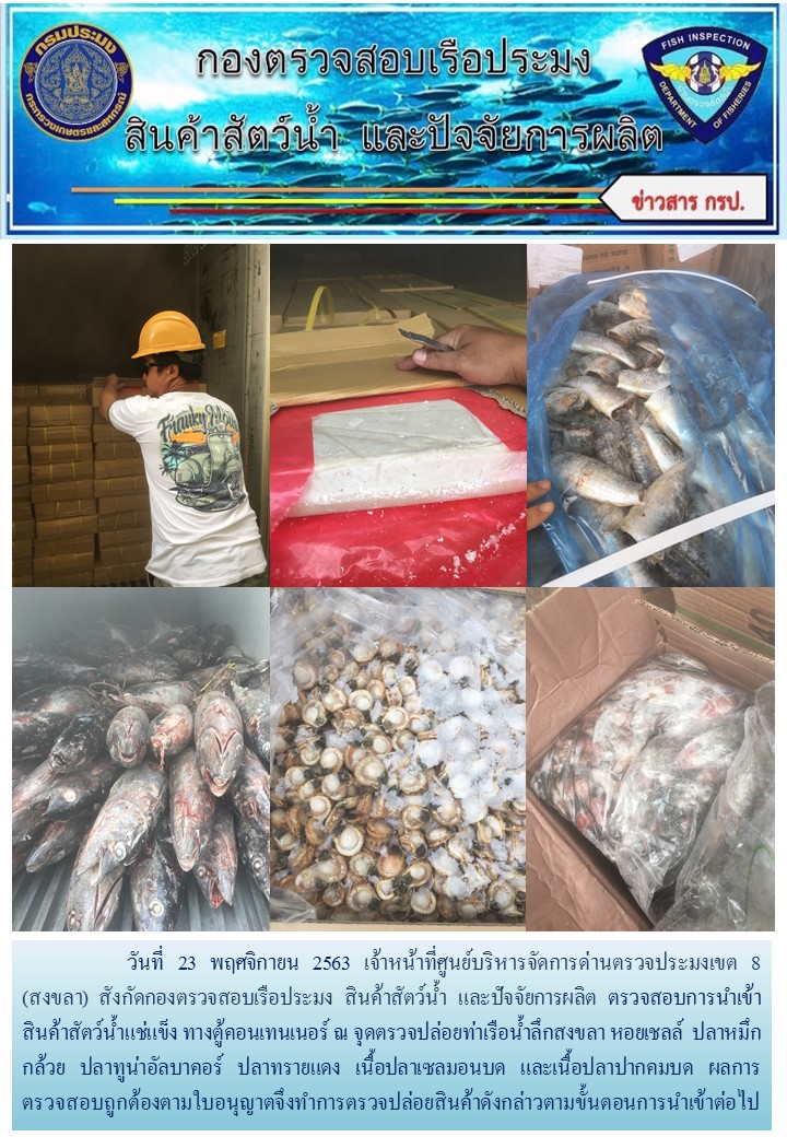 เจ้าหน้าที่ศูนย์บริหารจัดการด่านตรวจประมงเขต 8 (สงขลา) สังกัดกองตรวจสอบเรือประมง สินค้าสัตว์น้ำ และปัจจัยการผลิต ตรวจสอบการนำเข้าสินค้าสัตว์น้ำประเภทตู้คอนเทนเนอร์ ณ จุดตรวจปล่อยท่าเรือน้ำลึกสงขลา..คลิก