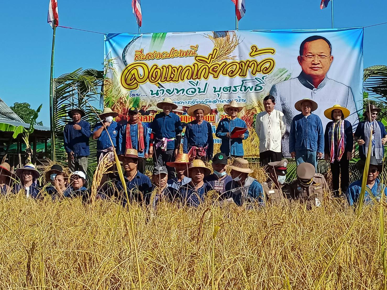 เข้าร่วมกิจกรรมสืบสานประเพณี ลงแขกเกี่ยวข้าว..คลิก