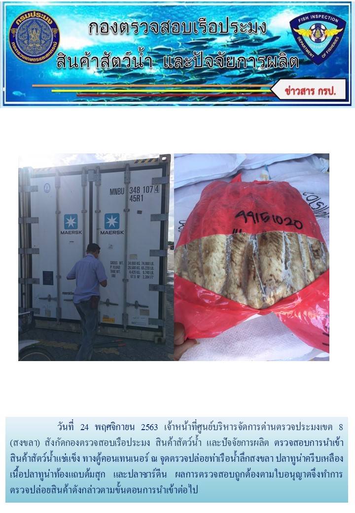 เจ้าหน้าที่ศูนย์บริหารจัดการด่านตรวจประมงเขต 8 (สงขลา) สังกัดกองตรวจสอบเรือประมง สินค้าสัตว์น้ำ และปัจจัยการผลิต  ตรวจสอบการนำเข้าสินค้าสัตว์น้ำประเภทตู้คอนเทนเนอร์ ณ จุดตรวจปล่อยท่าเรือน้ำลึกสงขลา..คลิก