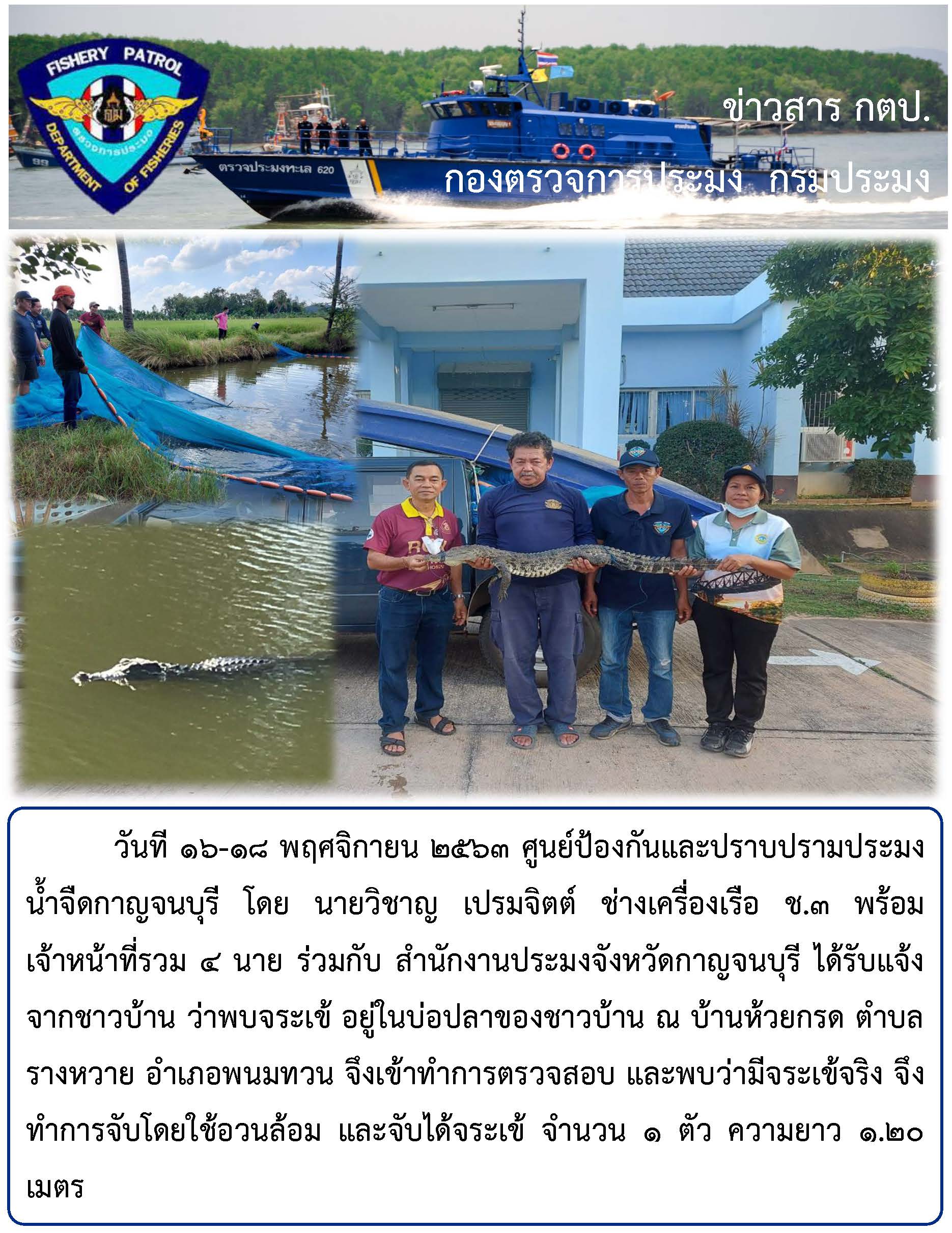 จับจระเข้ตามที่มีชาวบ้านได้แจ้งมา วันที่ 16-18 พฤศจิกายน2563..คลิก
