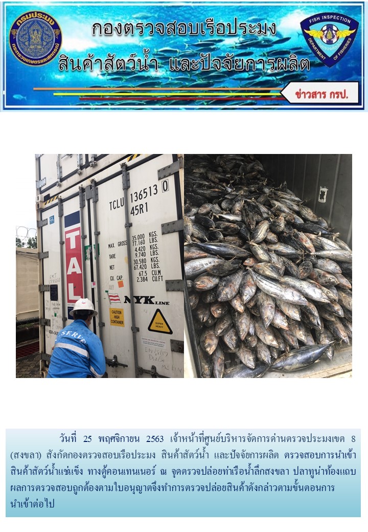 เจ้าหน้าที่ศูนย์บริหารจัดการด่านตรวจประมงเขต 8 (สงขลา) สังกัดกองตรวจสอบเรือประมง สินค้าสัตว์น้ำ และปัจจัยการผลิต ตรวจสอบการนำเข้าสินค้าสัตว์น้ำประเภทตู้คอนเทนเนอร์ ณ จุดตรวจปล่อยท่าเรือน้ำลึกสงขลา..คลิก