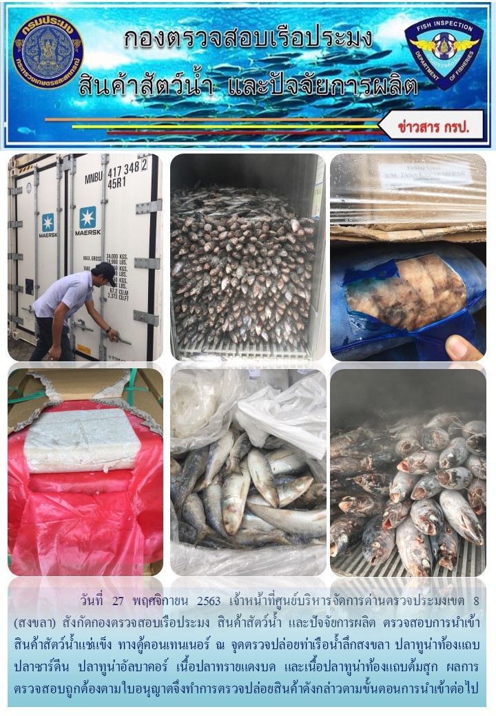 เจ้าหน้าที่ศูนย์บริหารจัดการด่านตรวจประมงเขต 8 (สงขลา) สังกัดกองตรวจสอบเรือประมง สินค้าสัตว์น้ำ และปัจจัยการผลิต  ตรวจสอบการนำเข้าสินค้าสัตว์น้ำประเภทตู้คอนเทนเนอร์ ณ จุดตรวจปล่อยท่าเรือน้ำลึกสงขลา..คลิก