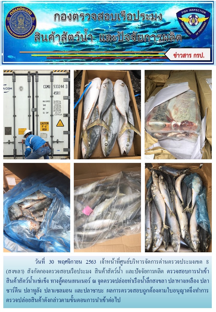 2563 เจ้าหน้าที่ศูนย์บริหารจัดการด่านตรวจประมงเขต 8 (สงขลา) สังกัดกองตรวจสอบเรือประมง สินค้าสัตว์น้ำ และปัจจัยการผลิต  ตรวจสอบการนำเข้าสินค้าสัตว์น้ำประเภทตู้คอนเทนเนอร์ ณ จุดตรวจปล่อยท่าเรือน้ำลึกสงขลา..คลิก