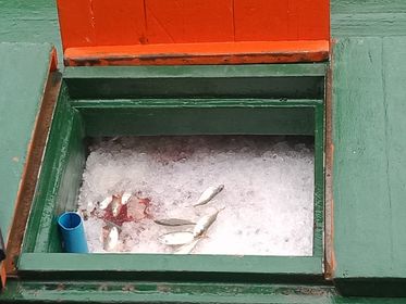 ตรวจสอบเรือและสินค้านำเข้าจากประเทศ MYANMAR..คลิก