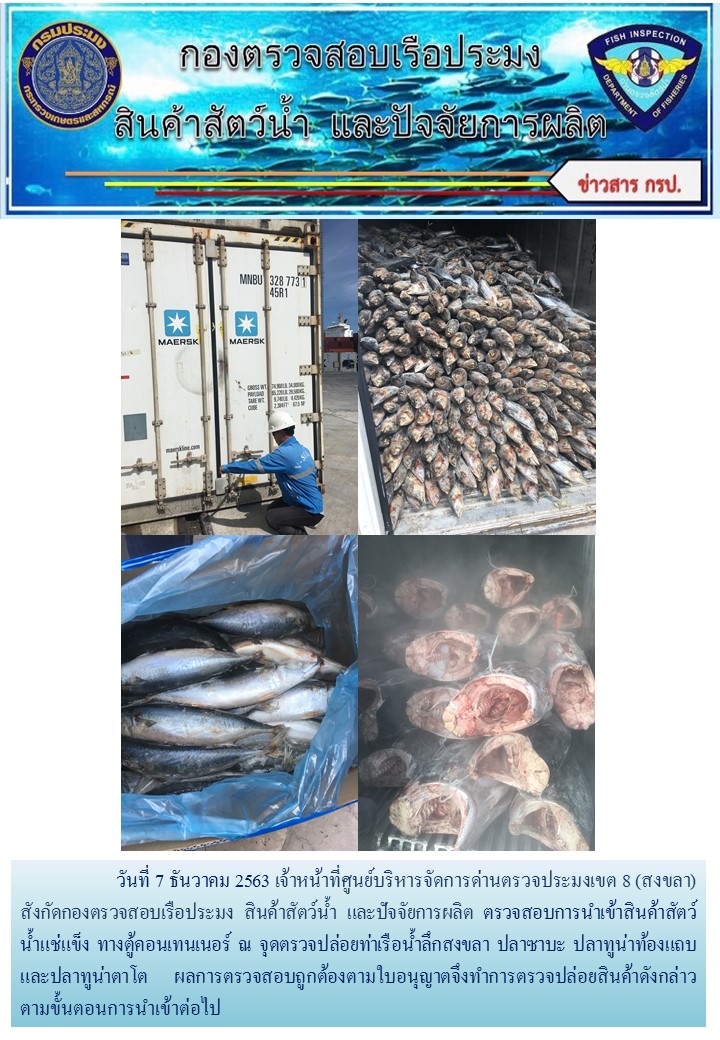 เจ้าหน้าที่ศูนย์บริหารจัดการด่านตรวจประมงเขต 8 (สงขลา) สังกัดกองตรวจสอบเรือประมง สินค้าสัตว์น้ำ และปัจจัยการผลิต  ตรวจสอบการนำเข้าสินค้าสัตว์น้ำประเภทตู้คอนเทนเนอร์ ณ จุดตรวจปล่อยท่าเรือน้ำลึกสงขลา..คลิก