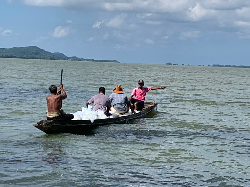ปล่อยพันธุ์กุ้งก้ามกราม ลงสู่ทะเลสาบสงขลา พื้นที่จังหวัดพัทลุง..คลิก