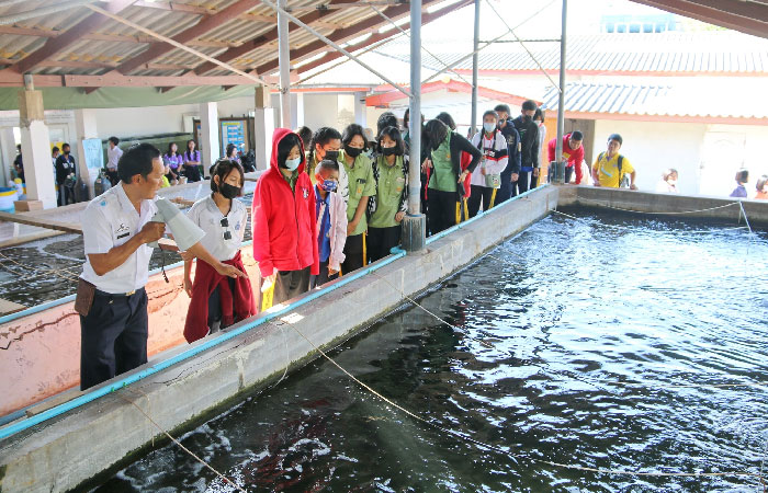โรงไฟฟ้าบางปะกง การไฟฟ้าฝ่ายผลิตแห่งประเทศไทย (กฟผ.) ร่วมกับ ศูนย์ศึกษาการพัฒนาอ่าวคุ้งกระเบนฯ จัดกิจกรรมค่ายพัฒนาแกนนำเยาวชนนักสืบสายน้ำแม่น้ำบางปะกง ประจำปี 2563..คลิก