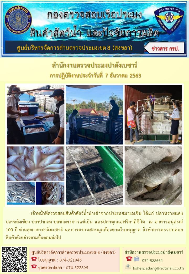 ประชาสัมพันธ์การปฏิบัติงานประจำวันที่ 7 ธันวาคม 2563  สำนักงานตรวจประมงปาดังเบซาร์..คลิก
