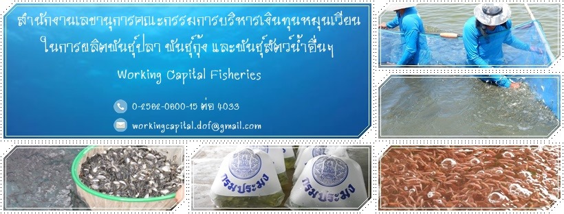 ขั้นตอนการจำหน่ายพันธุ์สัตว์น้ำเงินทุนหมุนเวียนฯ กรมประมง..คลิก