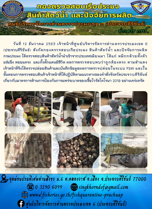 สินค้าสัตว์น้ำนำเข้าจากประเทศเมียนมา..คลิก