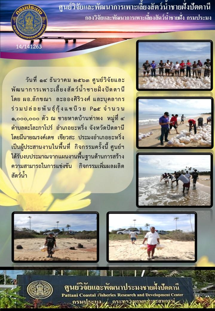 กิจกรรมปล่อยพันธุ์กุ้งแชบ๊วย จำนวน 1,000,000ตัว ณ ชายหาดบ้านท่าพง  จ.ปัตตานี..คลิก