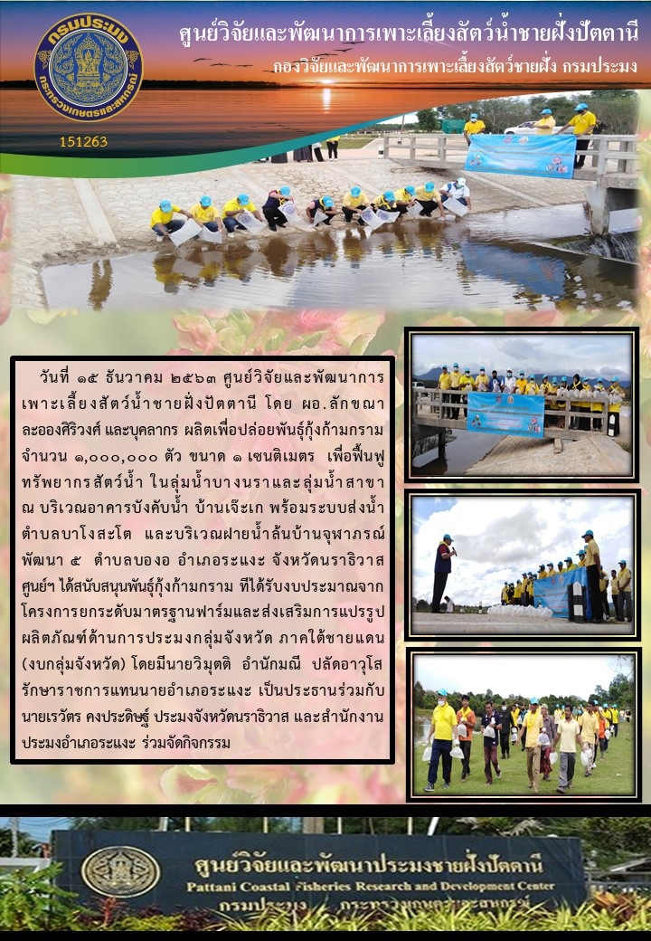 กิจกรรมปล่อยพันธุ์กุ้งก้ามกราม จำนวน 1,000,000ตัว ณ ลุ่มน้ำบางนราและฝายน้ำล้นบ้านจุฬาภรณ์พัฒนา 5  จ.นราธิวาส..คลิก