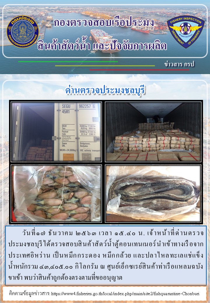 การปฏิบัติงานของเจ้าหน้าที่ด่านตรวจประมงชลบุรีประจำวันที่ 17 ธันวาคม 2563..คลิก