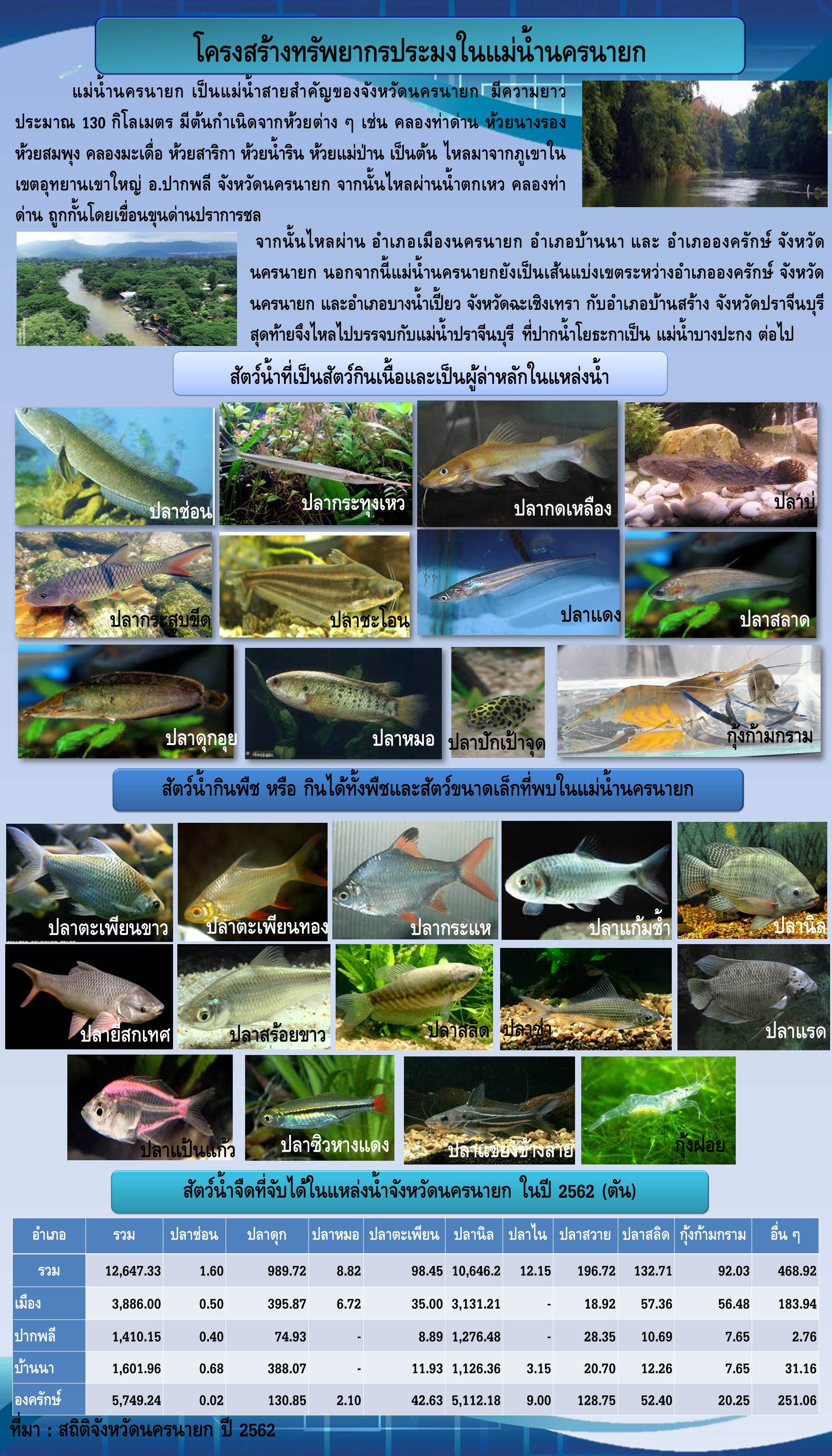 โครงสร้างทรัพยากรประมงในแม่น้ำนครนายก..คลิก