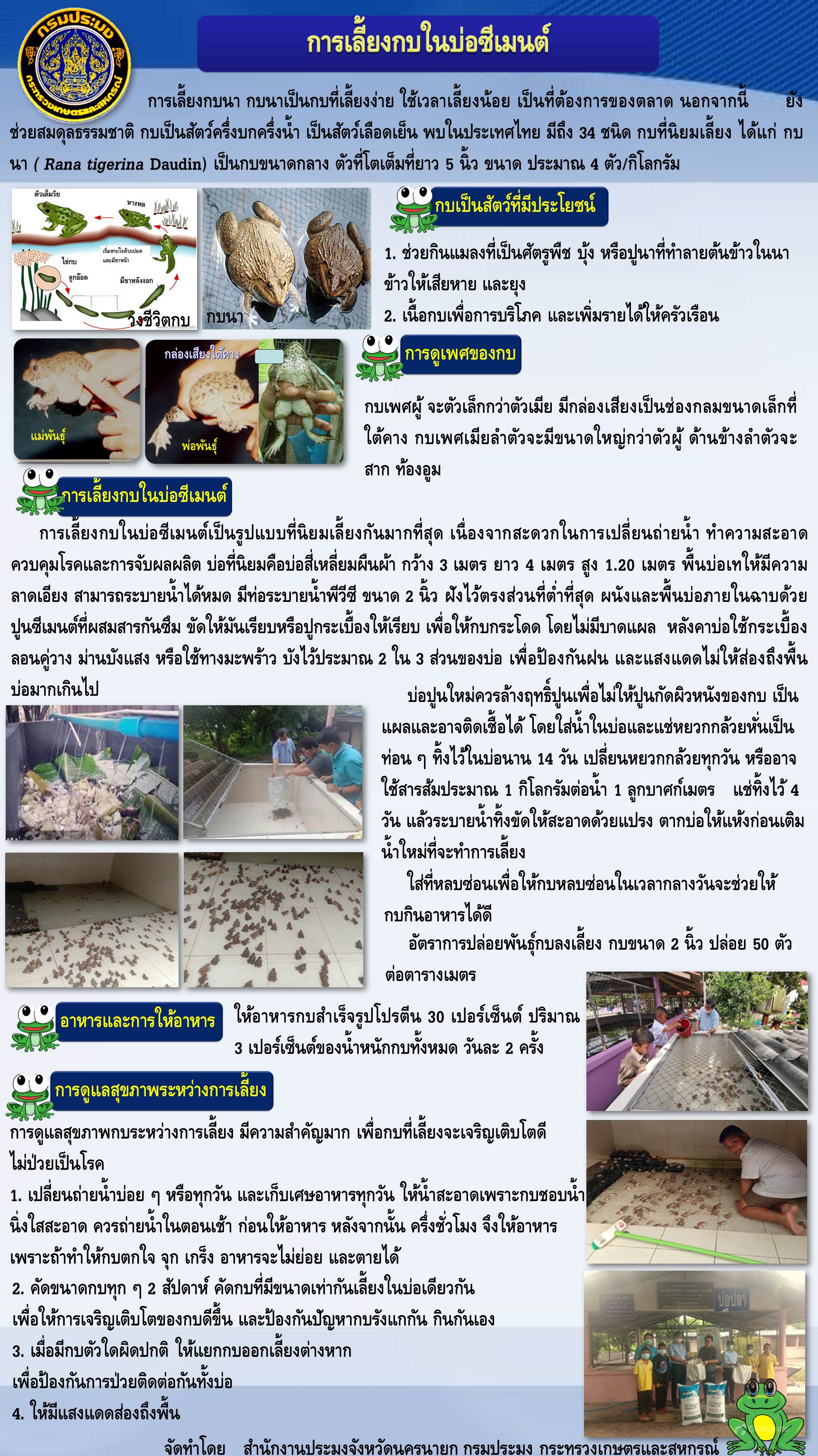 การเลี้ยงกบในบ่อซีเมนต์..คลิก
