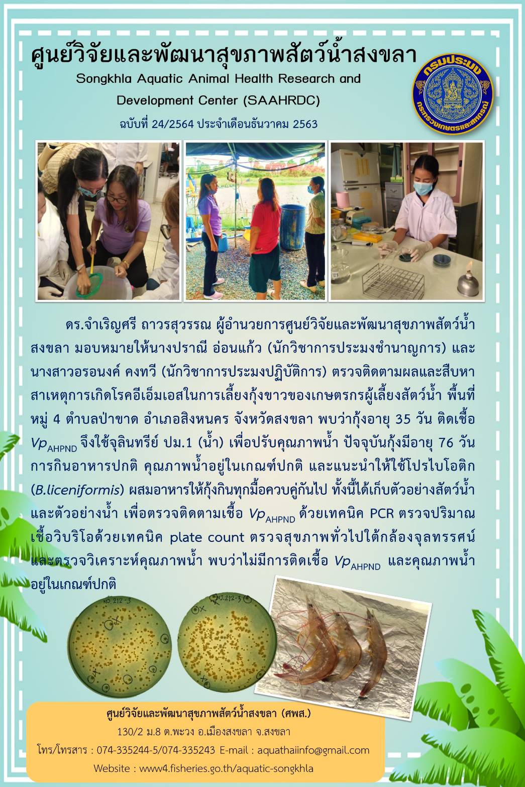 ฉบับที่ 24/2563 ศูนย์วิจัยและพัฒนาสุขภาพสัตว์น้ำสงขลา ตรวจติดตามผลและสืบหา สาเหตุการเกิดโรคอีเอ็มเอสในการเลี้ยงกุ้งขาวของเกษตรกรผู้เลี้ยงสัตว์น้ำ พื้นที่ หมู่ 4 ตำบลป่าขาด อำเภอสิงหนคร จังหวัดสงขลา..คลิก
