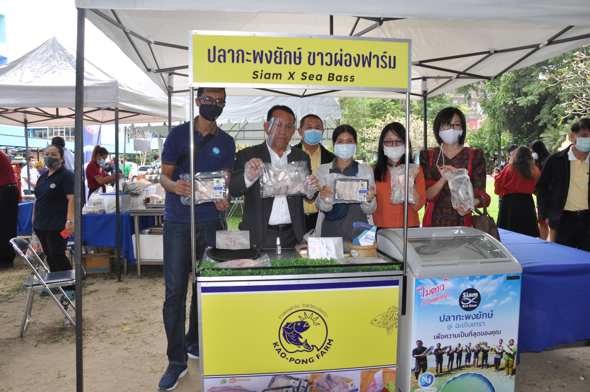 รูป ประกอบบทความ16