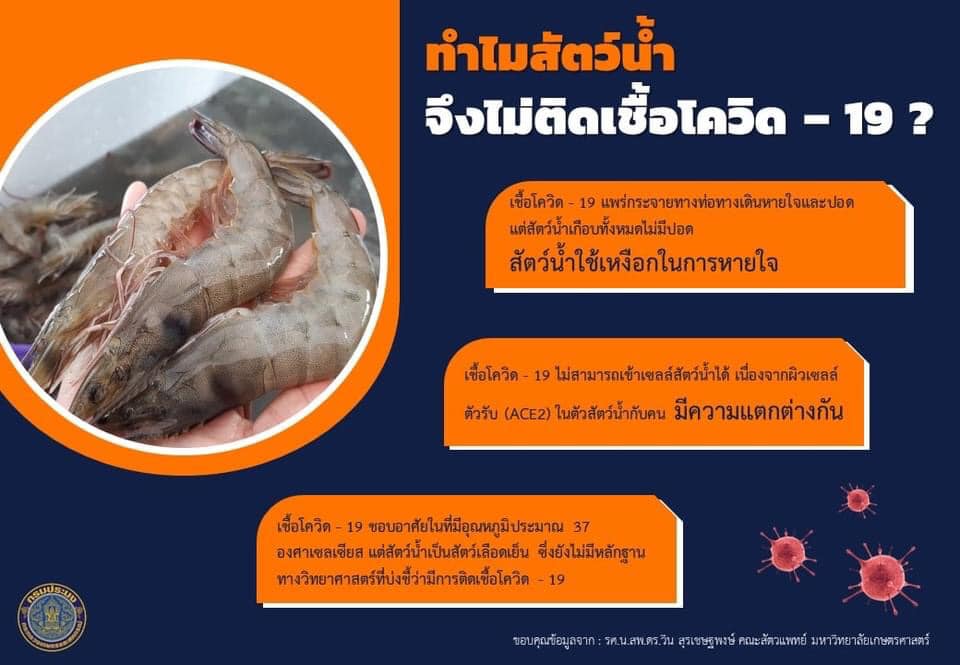 อาหารทะเล สะอาด ปลอดภัย ไร้โควิด-19