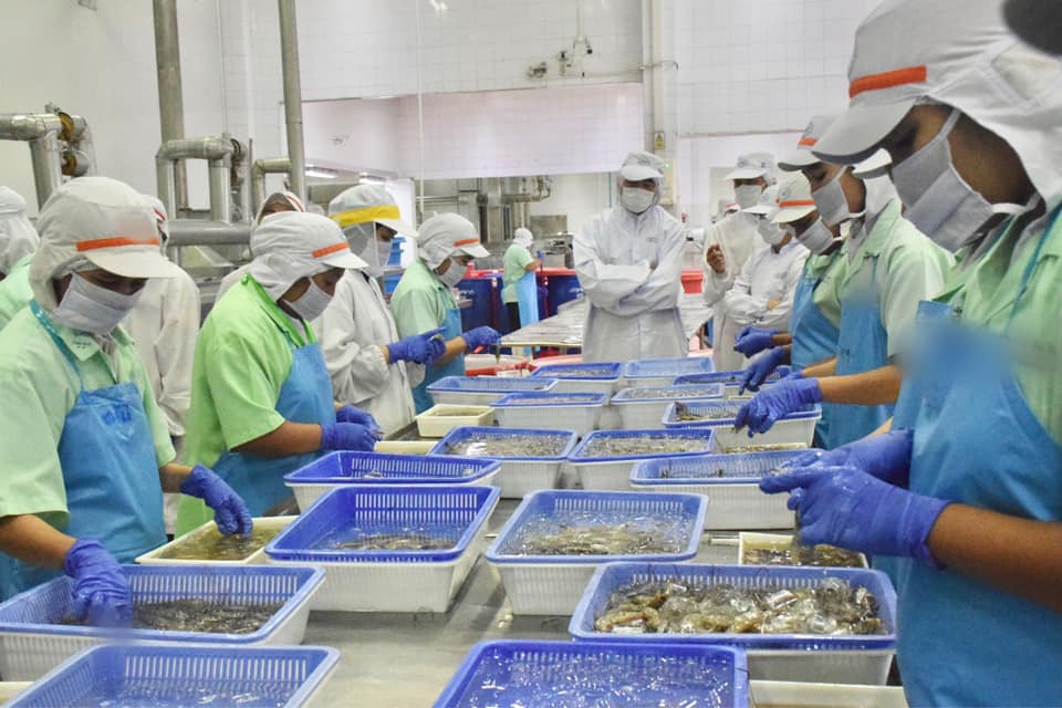 กรมประมงลงพื้นที่ตรวจสอบมาตรฐานการผลิตสินค้ากุ้งทะเลทั้งระบบ  หนุนสร้างความเชื่อมั่นให้ผู้บริโภคทั้งในไทยและตลาดโลก