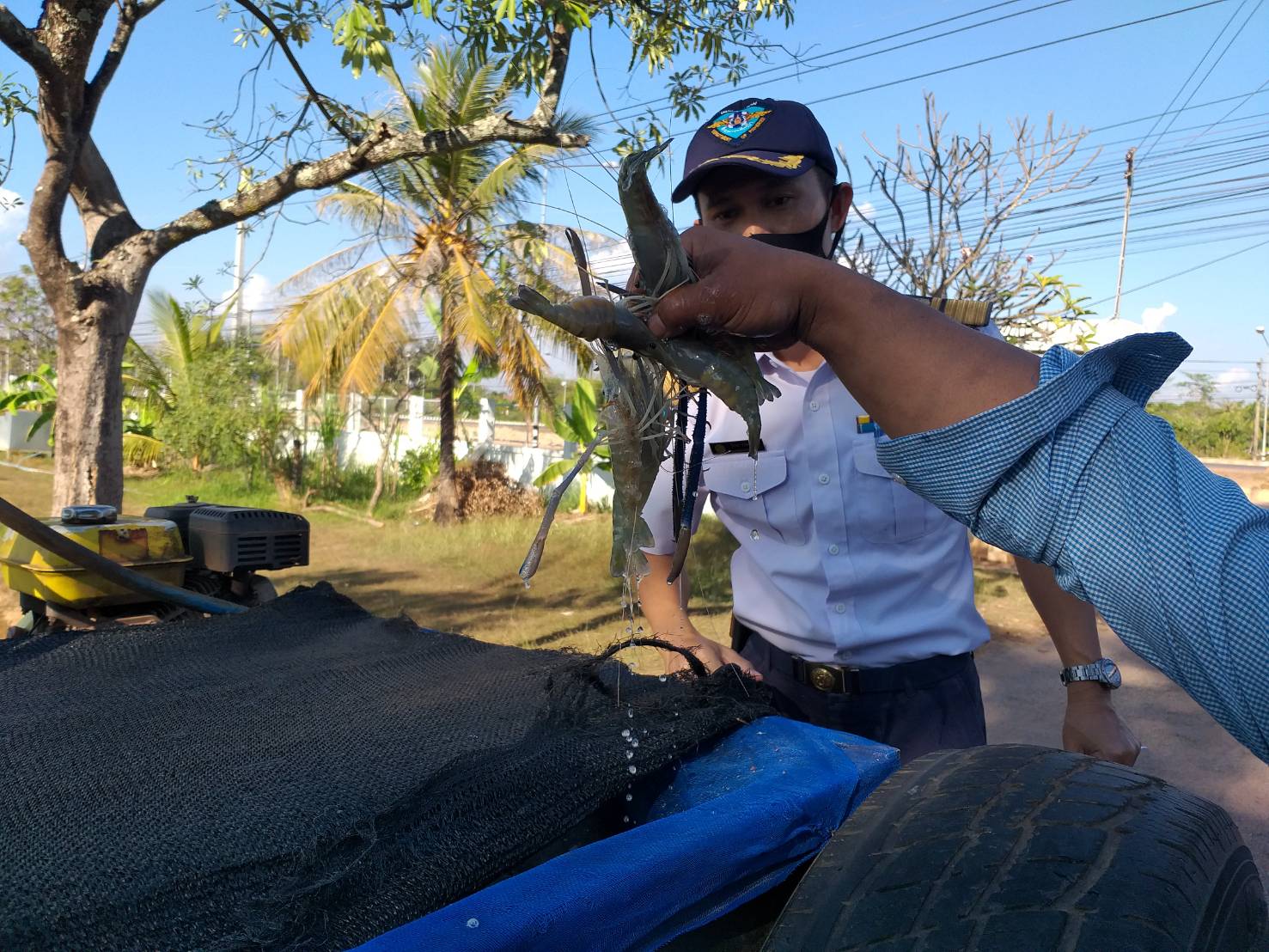 ตรวจสอบสินค้าประมง ส่งออกไปยัง สปป.ลาว..คลิก