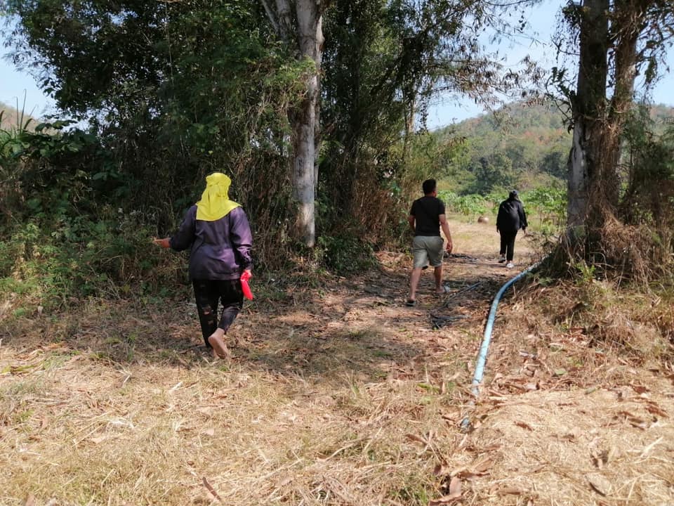 ศพจ.เลย รับสมัครเกษตรกรและประเมินศักยภาพ..คลิก