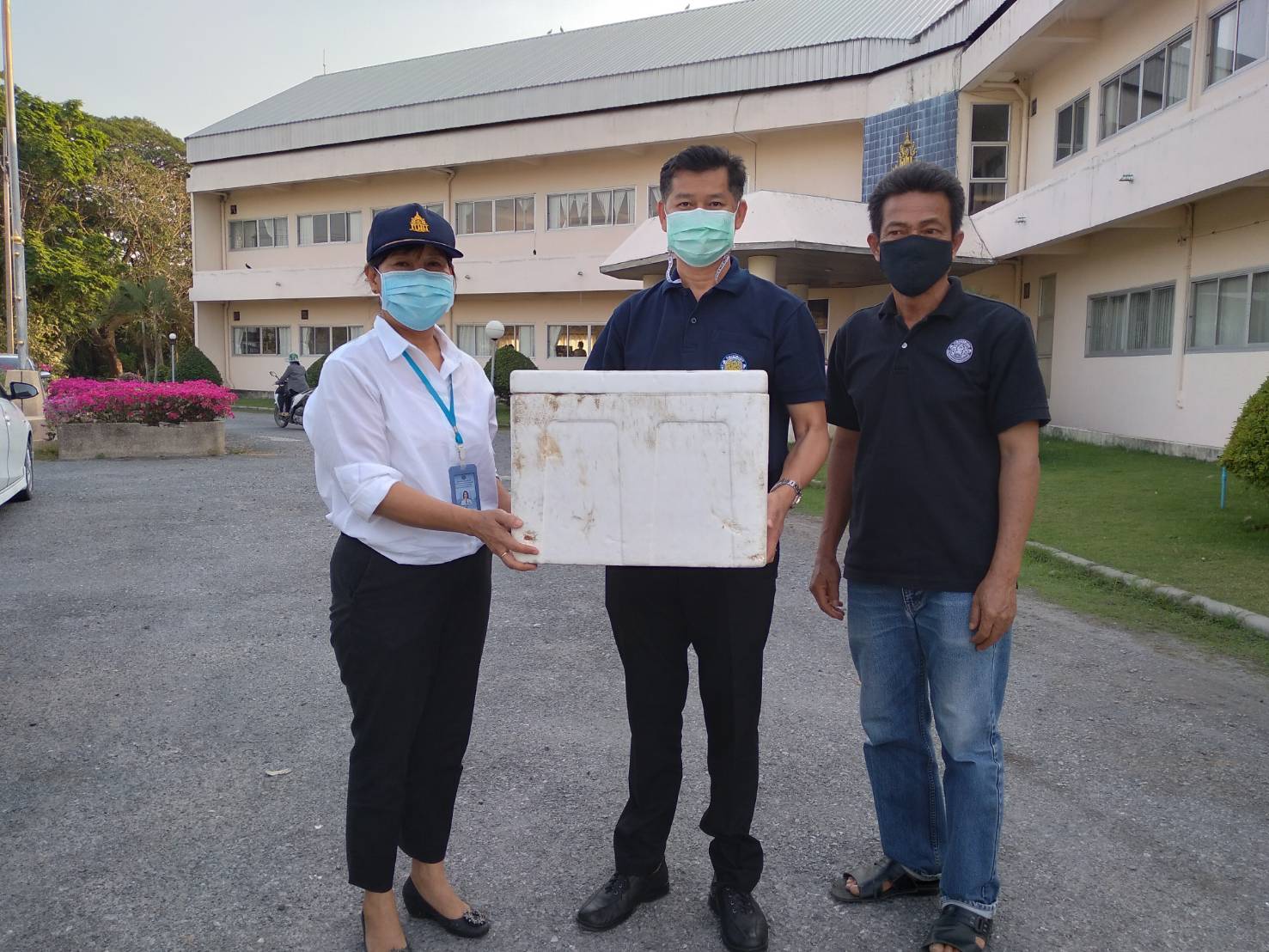 การเก็บและเคลื่อนย้ายไข่ตะพาบน้ำไปเพาะฟัก @ศูนย์วิจัยและพัฒนาการเพาะเลี้ยงสัตว์น้ำจืดพระนครศรีอยุธยา..คลิก