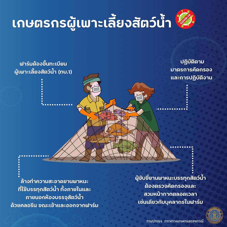 กรมประมงจัดทำมาตรการป้องกันเชื้อไวรัสโควิด - 19 ตลอดสายการผลิต