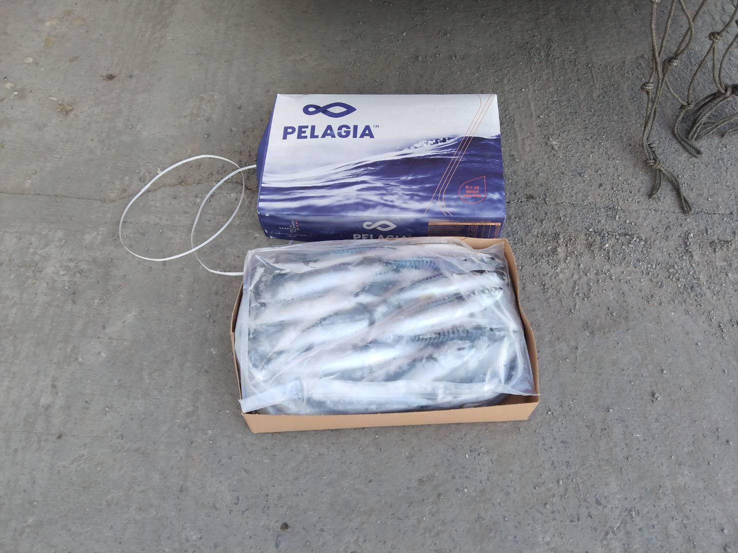 ผลการปฏิบัติงานด่านตรวจประมงสุรินทร์ วันที่ 9 มกราคม พ.ศ.2564..คลิก