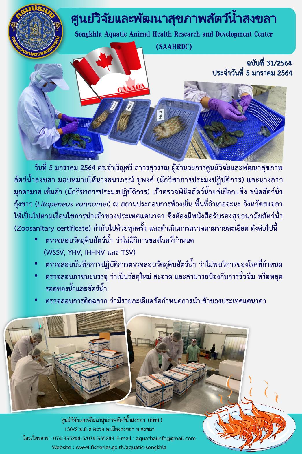 ฉบับที 31/2564 ศูนย์วิจัยและพัฒนาสุขภาพสัตว์น้ำสงขลา เข้าตรวจพินิจสัตว์น้ำแช่เยือกแข็ง ชนิดสัตว์น้ำ กุ้งขาว (Litopeneus vannamei) ณ สถานประกอบการห้องเย็น พื้นที่อำเภอจะนะ จังหวัดสงขลา..คลิก