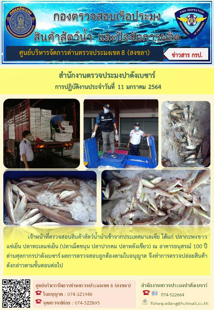 ประชาสัมพันธ์การปฏิบัติงาน ประจำวันที่ 11 มกราคม 2564 สำนักงานตรวจประมงปาดังเบซาร์..คลิก