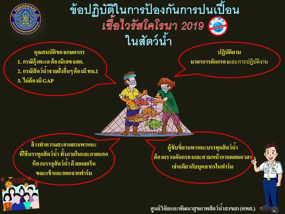 ประกาศ ข้อปฏิบัติในการป้องกันการปนเปื้อน เชื่อไวรัสโคโรนา 2019 ในสัตว์น้ำ..คลิก