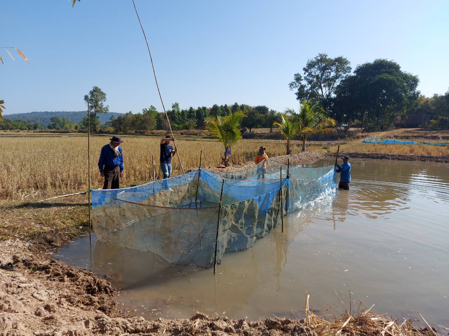 สาธิตการเพาะพันธุ์ปลาด้วยชุดเพาะพันธุ์ปลาเคลื่อนที่ (Mobile Hatchery)