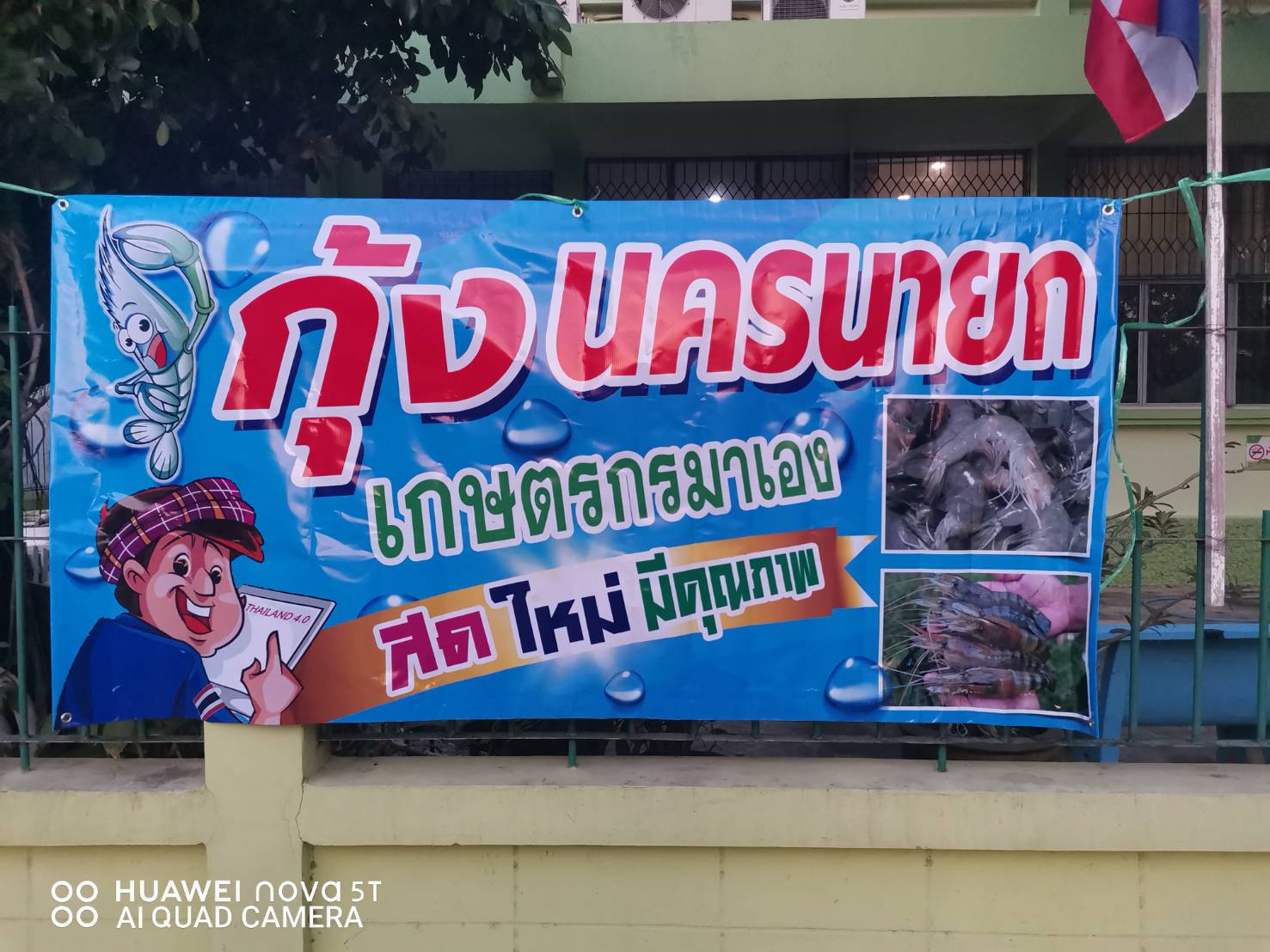กุ้งถูกบอกต่อ กุ้งนครนายกไปเปิดตลาดที่ สระบุรี แล้ว..คลิก