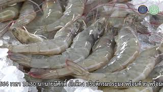 นายมีศักดิ์ ภักดีคง อธิบดีกรมประมง ร่วมแถลงข่าวการเปิดตลาดประมงปลอดภัย GAP เพื่อเกษตรกรไทย ปลอดภัยถึงผู้บริโภค ในยุค COVID-19 ณ ตลาดไท อำเภอคลองหลวง จังหวัดปทุมธานี..คลิก