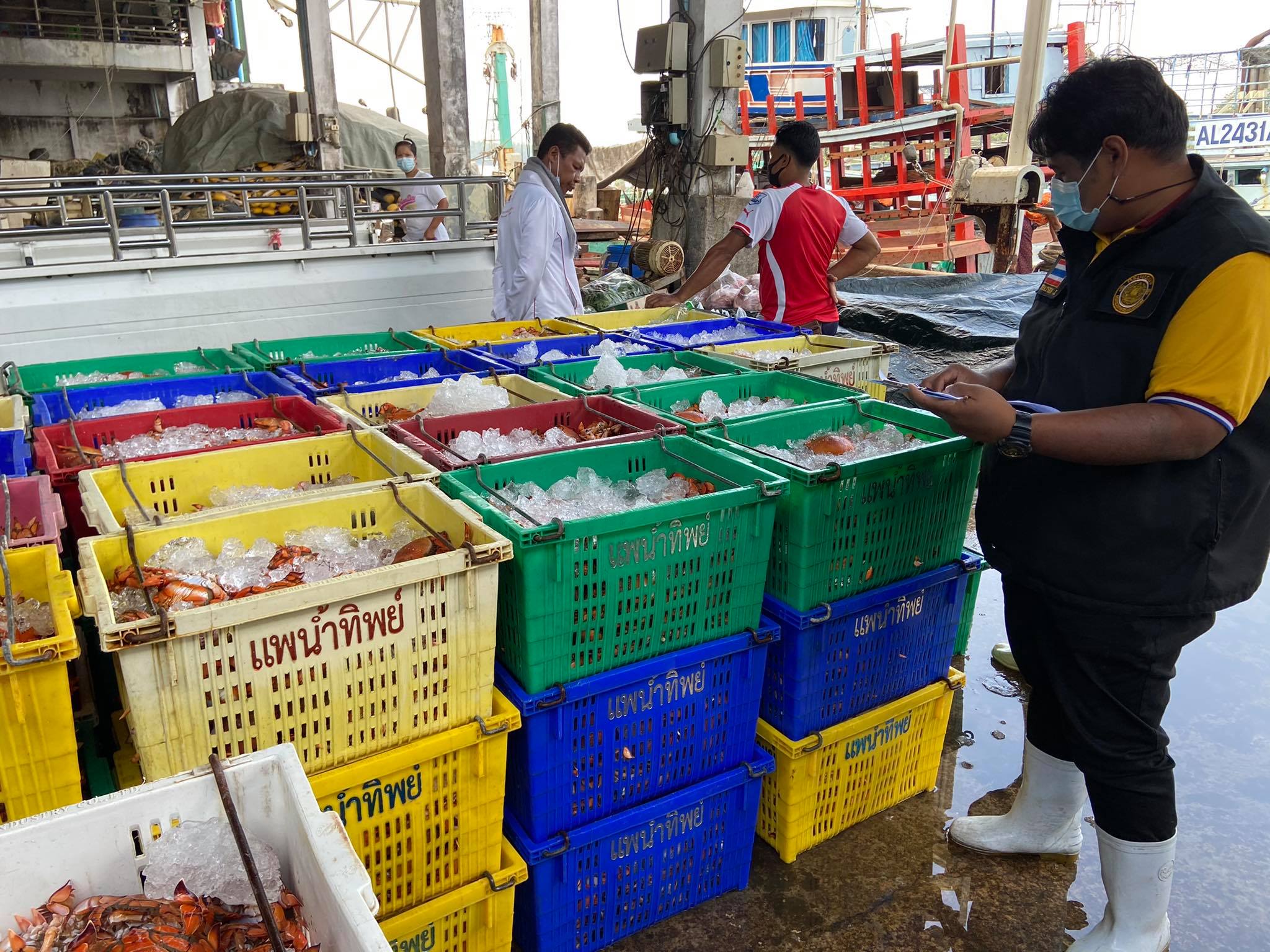 รายงานผลการตรวจเรือขนถ่ายสัตว์น้ำจากประเทศเมียนมาร์..คลิก