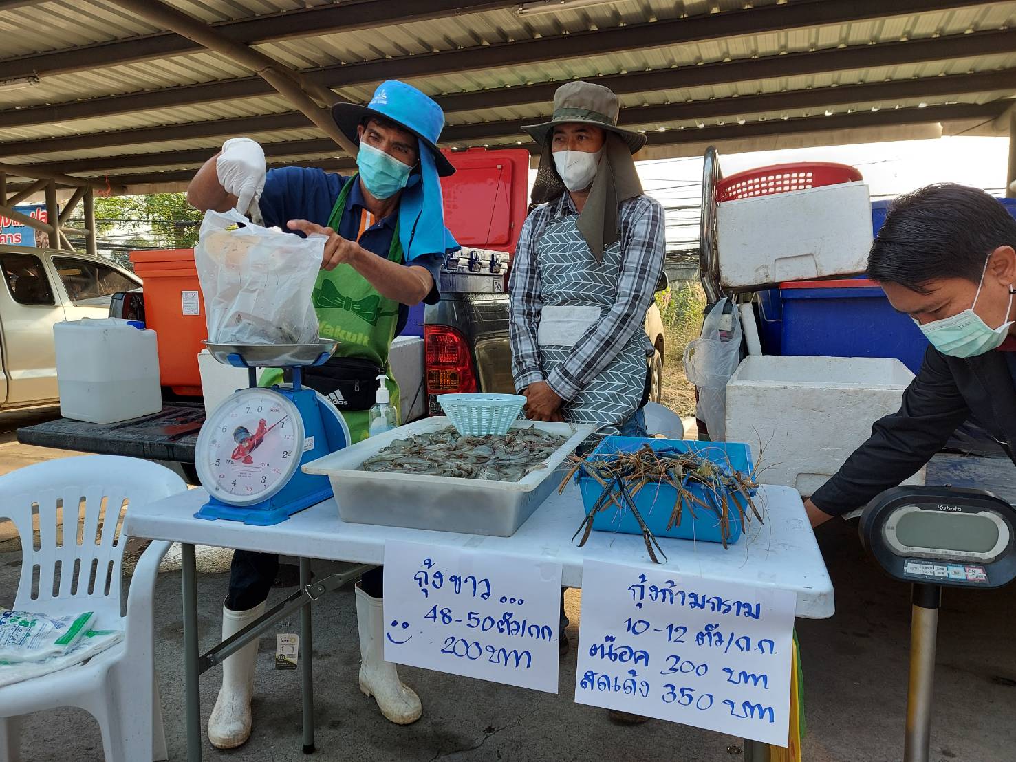 ไม่โกงแน่นอน ก่อนจะขายมีการตรวจนับขนาดกุ้ง..คลิก